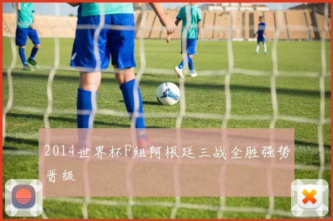 2014世界杯F组阿根廷三战全胜强势晋级