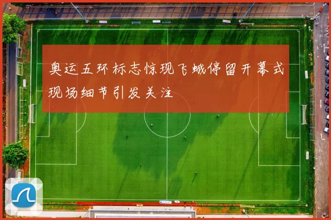 奥运五环标志惊现飞蛾停留开幕式现场细节引发关注