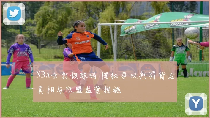 NBA会打假球吗 揭秘争议判罚背后真相与联盟监管措施