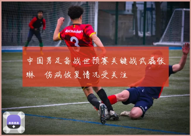 中国男足备战世预赛关键战武磊张琳芃伤病恢复情况受关注
